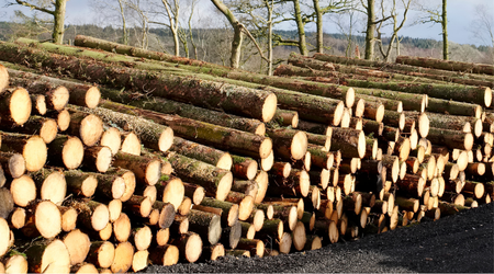 Illegal Logging Compliance Webinar 